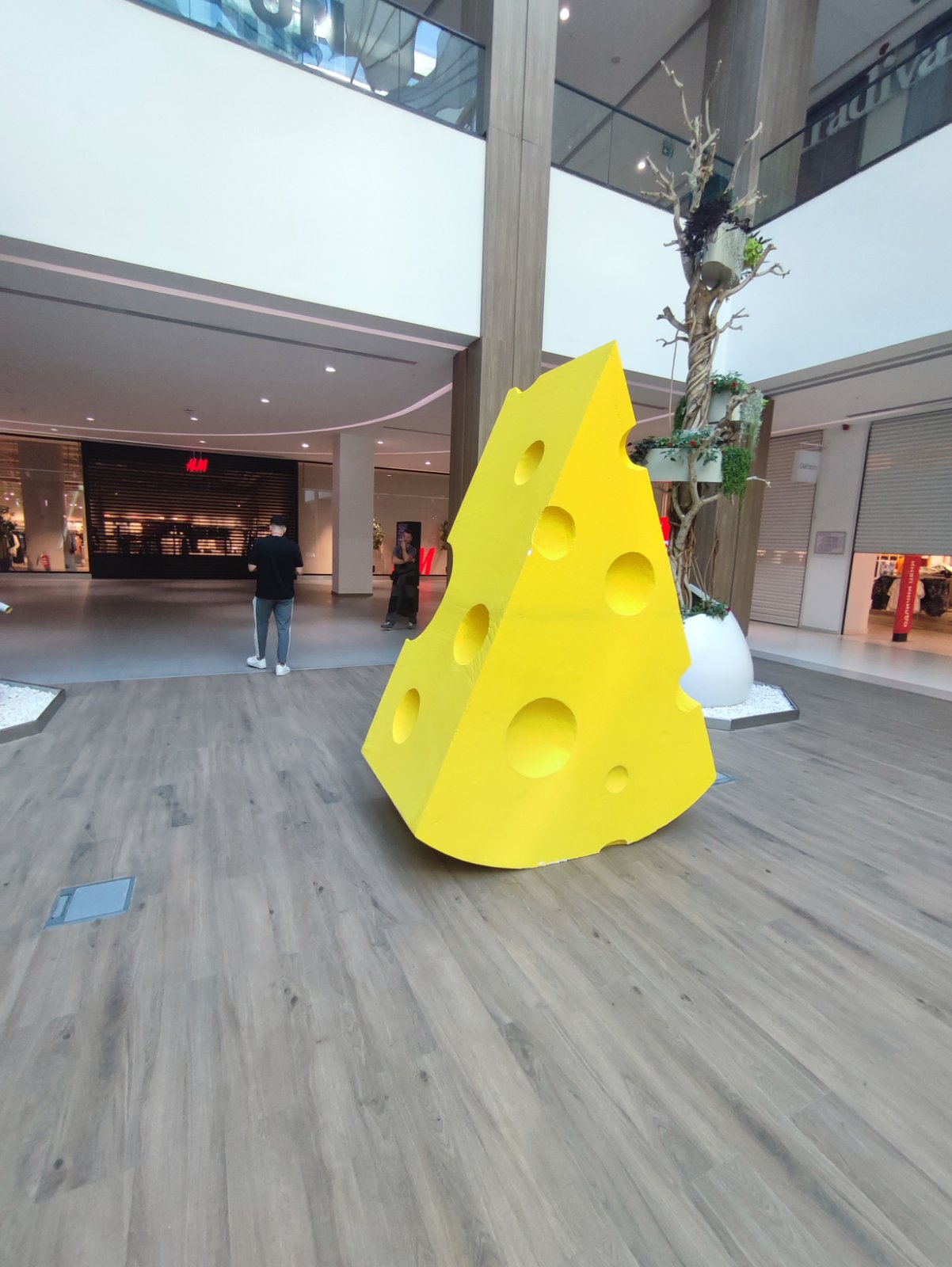 viber_image_2024-07-08_10-28-25-057