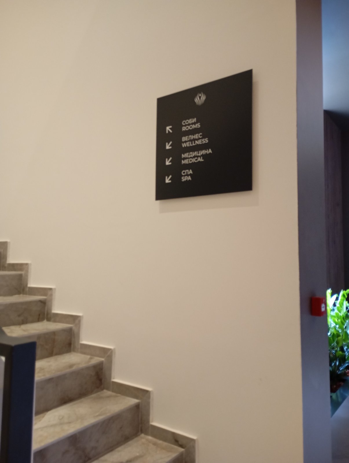 viber_image_2025-03-21_10-25-27-454